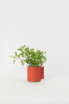 Beaker/500ml 詳細画像