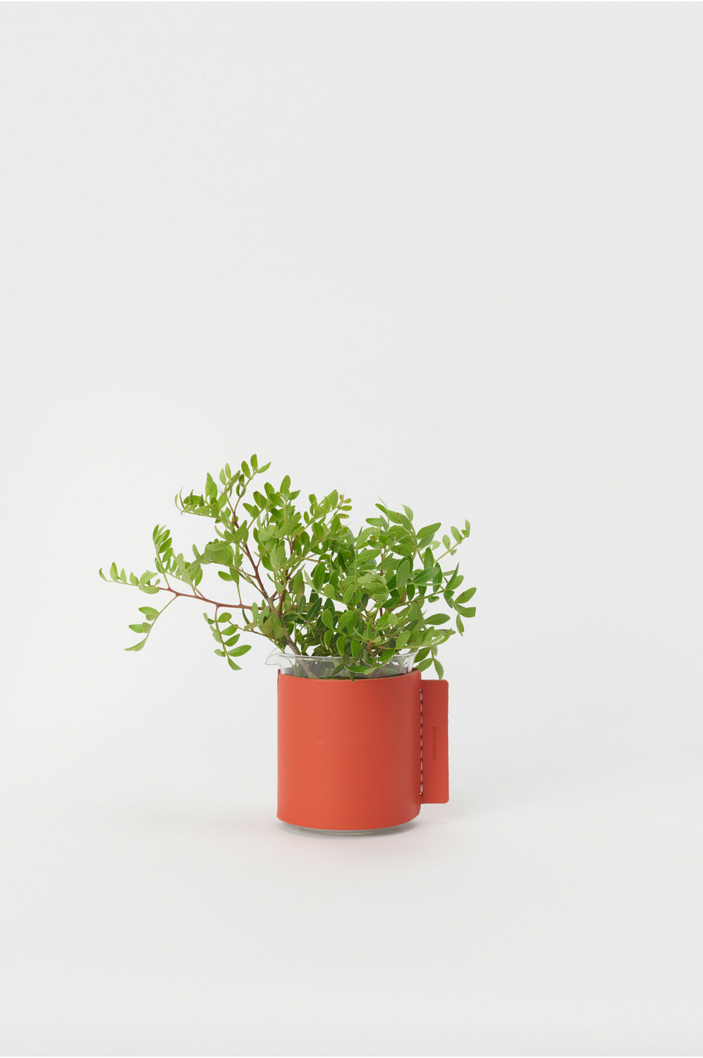 Beaker/500ml 詳細画像 copper orange 1