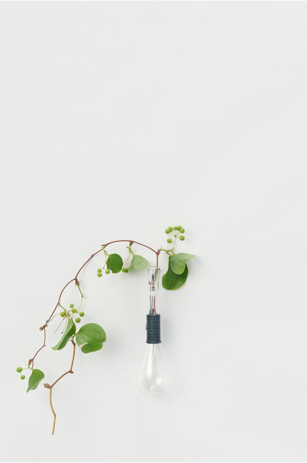 Kjeldahl flask long neck/100ml 詳細画像 dark navy 1