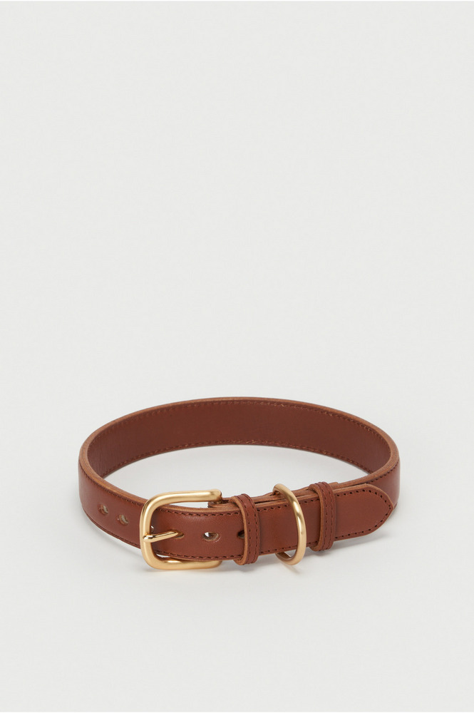 dog collar L 詳細画像 brown/GST 1