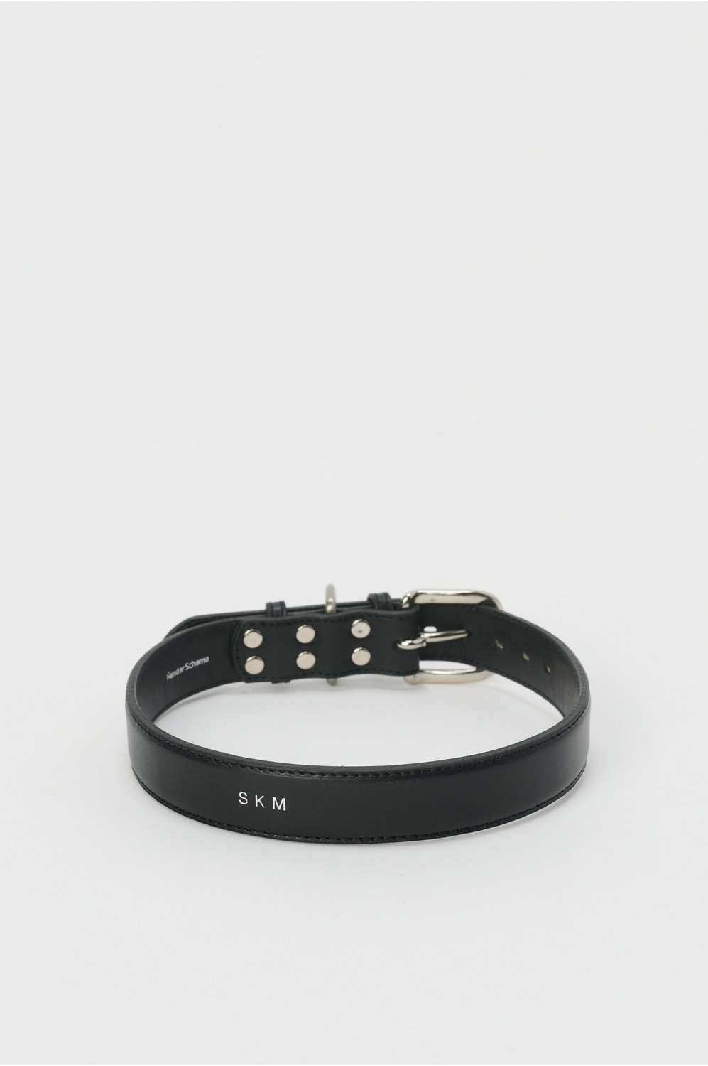 dog collar L 詳細画像 3