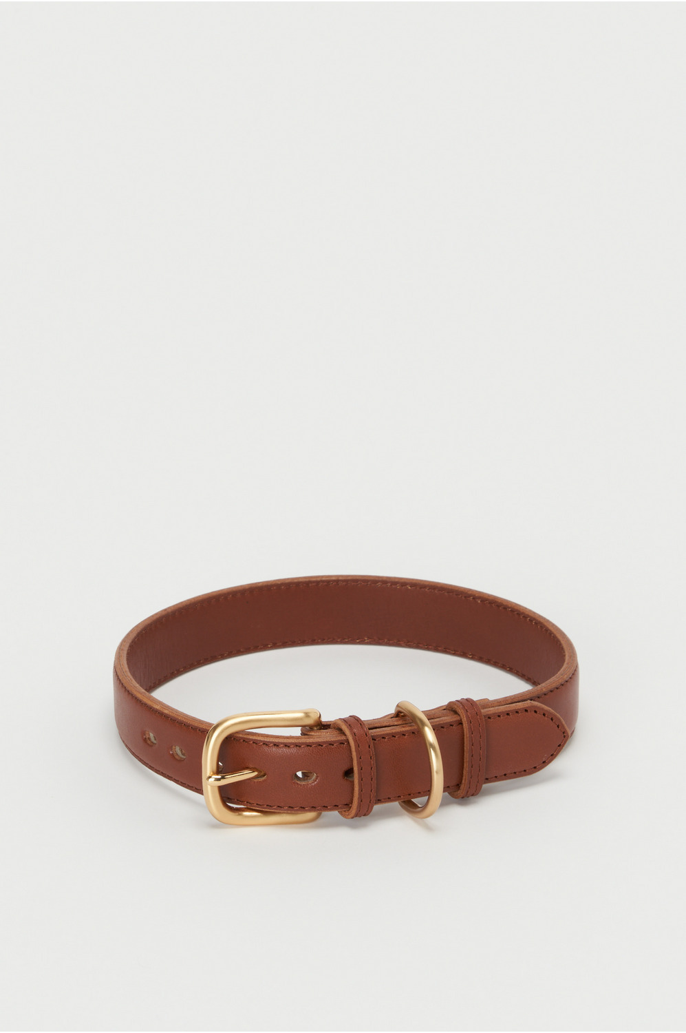 dog collar L 詳細画像 brown/GST 1