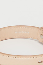 dog collar M 詳細画像