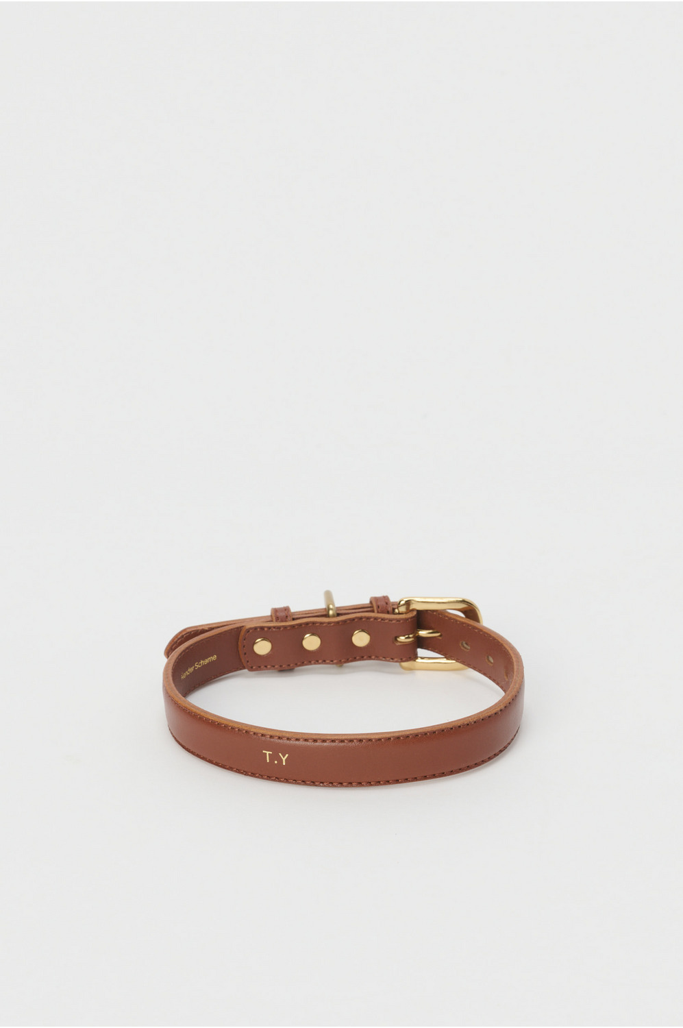 dog collar M 詳細画像 3